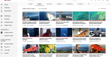 Voici le lien de notre chaine youtube de la pêche aux gros.